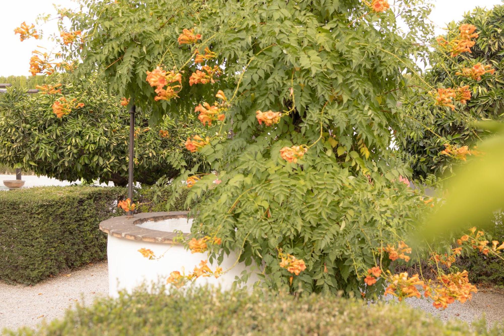 La Cuadra, Finca A Los Pies De Sierra Nevada, A 10 Minutos Del Centro, Piscina, Jardin, Barbacoa لا ثوبيا المظهر الخارجي الصورة