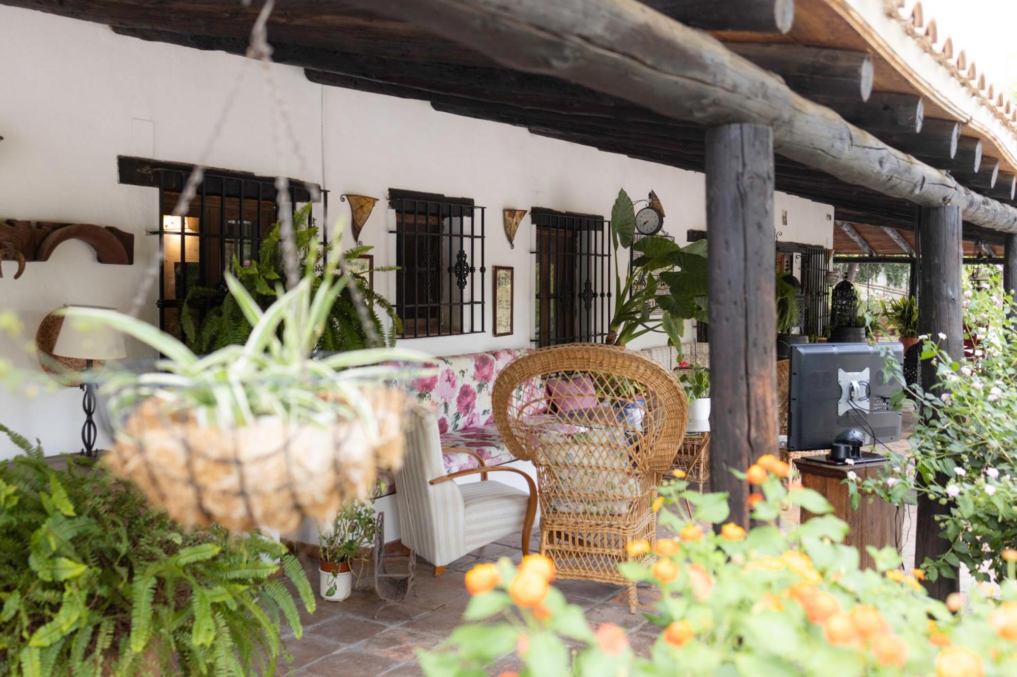 La Cuadra, Finca A Los Pies De Sierra Nevada, A 10 Minutos Del Centro, Piscina, Jardin, Barbacoa لا ثوبيا المظهر الخارجي الصورة