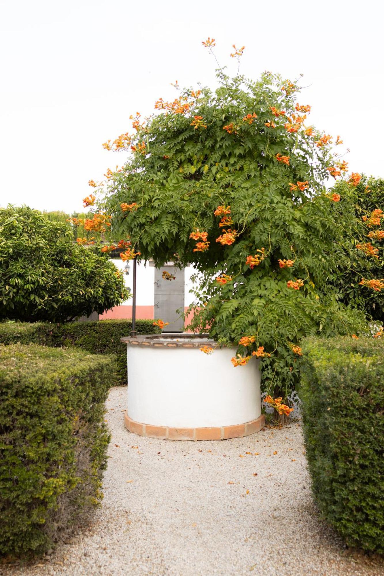 La Cuadra, Finca A Los Pies De Sierra Nevada, A 10 Minutos Del Centro, Piscina, Jardin, Barbacoa لا ثوبيا المظهر الخارجي الصورة